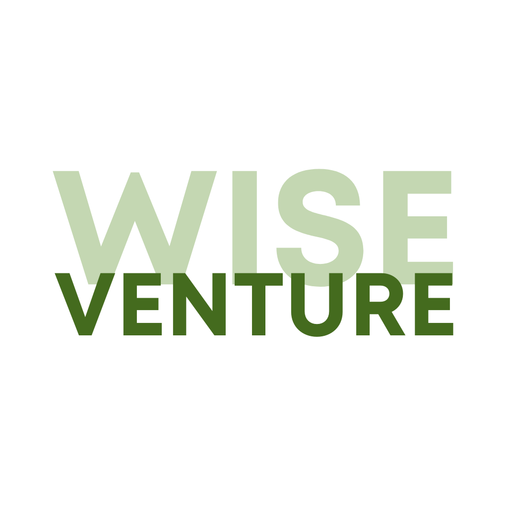Wise Ventures Logo